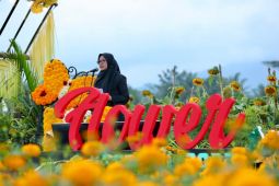 "Festival Flower" Banyuwangi pamerkan beragam kekayaan pertanian