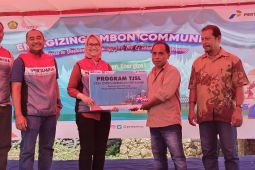 Pertamina bantu petani di Ambon solar panel wujudkan energi bersih, begini penjelasannya