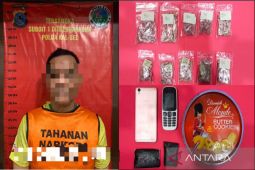 Polda Kalsel tangkap juru parkir simpan 294 butir ekstasi