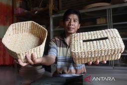 Kerajinan encemg gondok Mojokerto