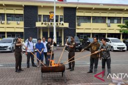 12 bal daun ganja kering yang diamankan dari kargo bandara SIM dimusnahkan