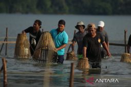 Festival Danau Poso  tampilkan Mosango sebagai perekat kerukunan