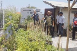 Akademisi: Majukan pertanian perkotaan untuk ketahanan pangan