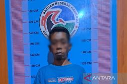 Pengedar ganja di Desa Iparbondar Madina ditangkap polisi