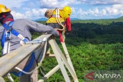 PLN mulai kerjakan PSN pendukung IKN di Kaltim