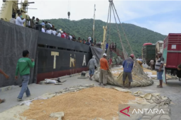 Gorontalo jajaki peluang bisnis jagung  dengan pengusaha Malaysia