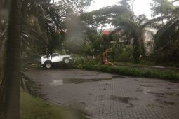 Diterjang angin kencang, sejumlah rumah di Sidoarjo rusak