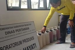Pemkab Magetan kenalkan "bubur California"