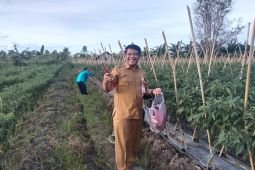 Paser siapkan lahan hortikultura untuk Kebutuhan IKN