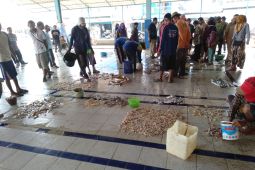 Realisasi PAD sektor perikanan di Karawang masih cukup rendah