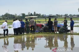 Deli Serdang mulai Gerakan Tanam  Padi Perdana