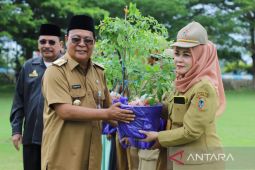 Gubernur Kalsel bagi 10 ribu bibit cabe