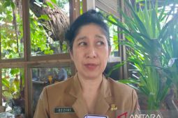 Dinpar: Okupansi hotel di Denpasar capai 54 persen