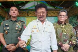 Puncak panen raya buat stok beras cukup, sebut Menteri Pertanian