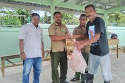 BKSDA Maluku imbau warga jangan bunuh ular, ini alasannya