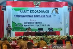 Syahrul Limpo: Kepala daerah di Papua Barat harus jadi pejuang pertanian