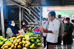 Presiden Jokowi bagikan bansos kepada para pedagang di Pasar Klandasan