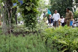 DLH tata ulang dan percantik taman pasif Kota Surabaya