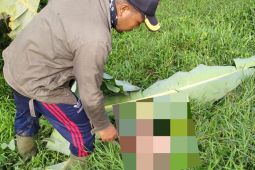 Polres Blitar cari sejumlah penumpang truk hanyut terseret arus banjir