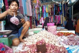 Kalbar kembangan bawang merah untuk memenuhi kebutuhan daerah