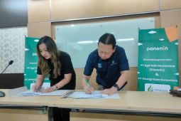 Sinergi Gula Nusantara gandeng platform berbasis perkebunan