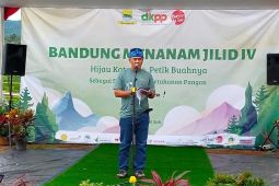Lewat 'Gerakan Bandung Menanam', Pemkot tingkatkan ketahanan pangan