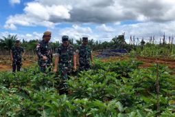 Satgas Pamtas RI-Malaysia gencarkan program ketahanan pangan di perbatasan