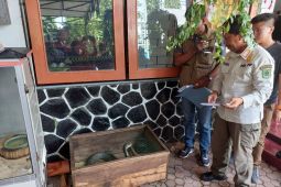 Kobra mematuk warga hingga tewas, Satpol Trenggalek serahkan ular ke BKSDA