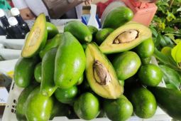 5 makanan penangkal dampak polusi dan cara mengolahnya