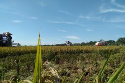 Pemkab Purwakarta komitmen kendalikan alih fungsi lahan pertanian jaga ketahanan pangan