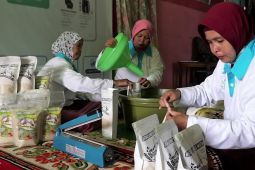 PLN bantu Rp2,5 Miliar untuk naikan produksi dan omzet UMK