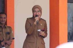 Wakil Bupati Cirebon sebut penanganan tengkes harus sama seperti COVID-19