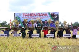Pemkab Aceh Barat dukung program panen padi tiga kali setahun