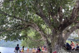 Rimbunan pohon di Pantai Mutiara Sukadana buat pengunjung betah