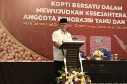 Kemendag diskusikan usul Gakoptindo soal kenaikan subsidi harga kedelai