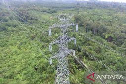 PLN bangun SUTT 150kV kuatkan interkoneksi transmisi antar Kalsel-Kaltim