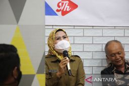 Bupati Tatu: Media massa investasi yang harus dijaga pemerintah