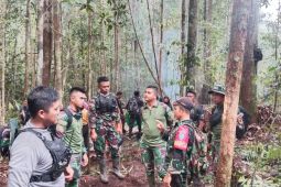 Tersesat hampir sebulan di perbatasan RI-Malaysia, Tim gabungan hentikan pencarian terhadap Alwi