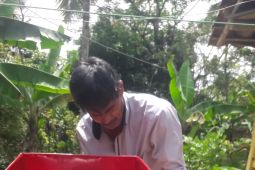 PLN Peduli, Kelompok Tani Kopi Citaman Lawang Taji rasakan peningkatan pendapatan 4 kali Lipat