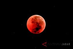 Kemenag mengajak umat Islam shalat khusuf saat gerhana bulan pada 8 November