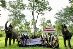 UKM Pers USK perkenalkan gajah sumatera lewat pelatihan jurnalistik