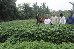 Karang Taruna Provinsi Banten dorong pemanfaatan teknologi untuk UMKM