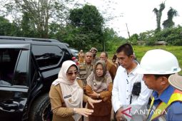 Bupati Berau minta pengembalian fungsi hutan kota