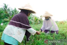 PT Timah bantu 9.787 mitra binaan untuk berkembang