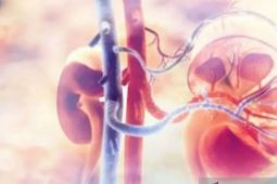 Rekomendasi pola makan menjaga kesehatan ginjal