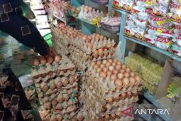 Harga beras dan telur di Batanghari mengalami kenaikan