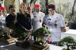 Bupati Tabanan tinjau Pameran Bonsai