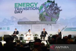 IEEFA apresiasi langkah konkret PLN wujudkan transisi energi di Indonesia