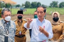 Presiden siapkan 700 ribu hektare lahan untuk swasembada gula