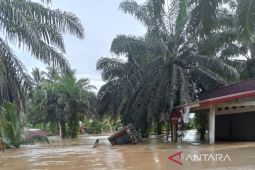 BPBD Mukomuko usulkan dana rehab rekon